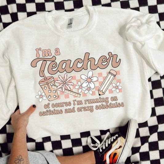 I'm A Teacher Of Course (CSC): *DTF* Transfer