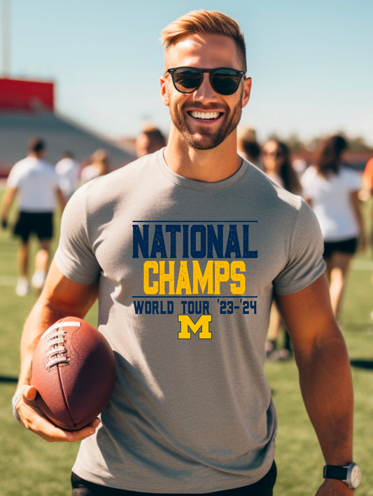 National Champs Michigan: *DTF* Transfer