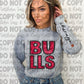 EXCLUSIVE Faux Sequins Embroidery BULLS: *DTF* Transfer